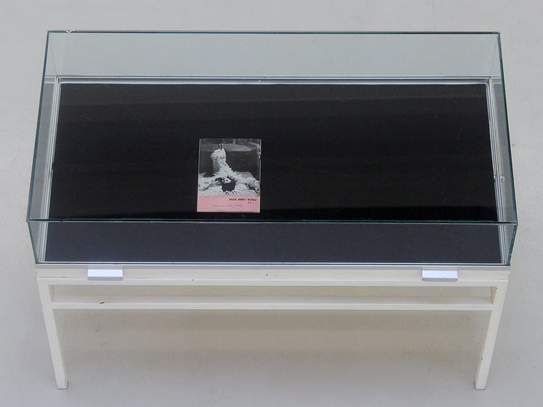 John Murphy Opened in a Cut of flesh, 2015 Stuffed Black Rooster, vitrine, book, variable dimensions